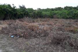 Development Land (Residential) for Sale in Discovery Bay