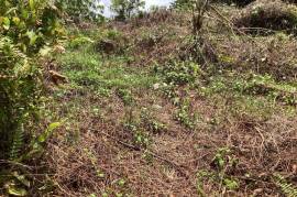 Development Land (Residential) for Sale in Fairy Hill