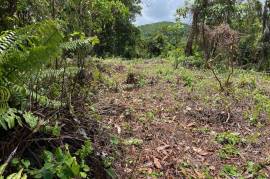 Development Land (Residential) for Sale in Fairy Hill