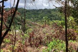 Development Land (Residential) for Sale in Fairy Hill