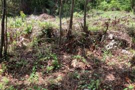 Development Land (Residential) for Sale in Fairy Hill