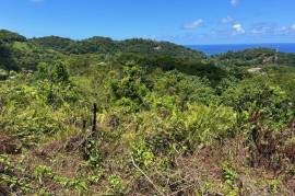 Development Land (Residential) for Sale in Fairy Hill