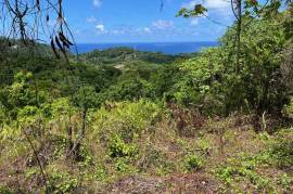 Development Land (Residential) for Sale in Fairy Hill