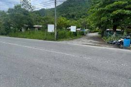 Development Land (Residential) for Sale in Bluefields