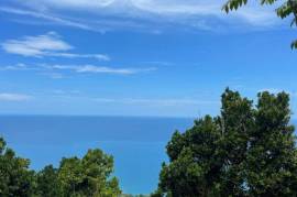 Development Land (Residential) for Sale in Bluefields