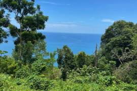 Development Land (Residential) for Sale in Bluefields