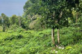 Development Land (Residential) for Sale in Bluefields