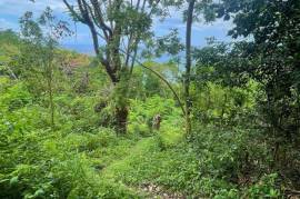 Development Land (Residential) for Sale in Bluefields