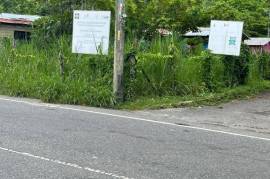 Development Land (Residential) for Sale in Bluefields