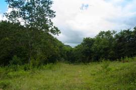 Development Land (Residential) for Sale in Browns Town