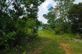 Development Land (Residential) for Sale in Browns Town