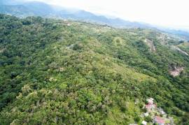 Development Land (Residential) for Sale in Port Antonio