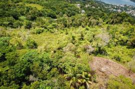 Development Land (Residential) for Sale in Port Antonio