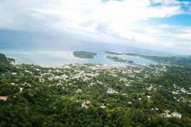 Development Land (Residential) for Sale in Port Antonio