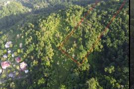 Development Land (Residential) for Sale in Port Antonio