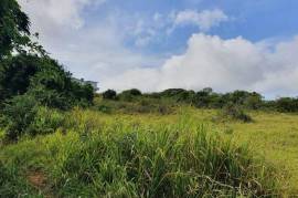 Development Land (Residential) for Sale in Southfield