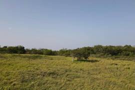 Development Land (Residential) for Sale in Southfield