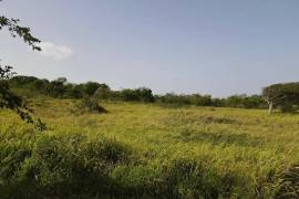 Development Land (Residential) for Sale in Southfield