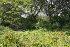 Development Land (Residential) for Sale in May Pen