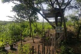 Development Land (Residential) for Sale in May Pen