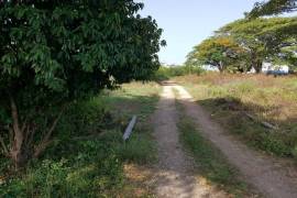 Development Land (Residential) for Sale in May Pen