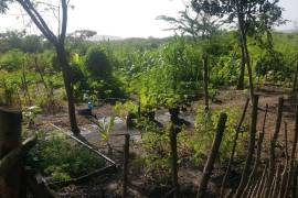 Development Land (Residential) for Sale in May Pen