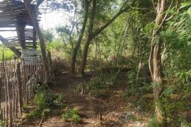 Development Land (Residential) for Sale in May Pen