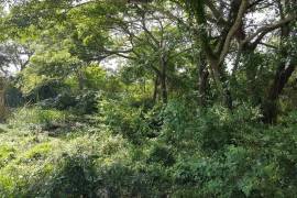 Development Land (Residential) for Sale in May Pen