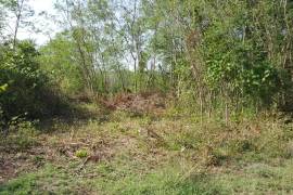 Development Land (Residential) for Sale in May Pen