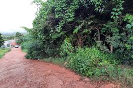 Development Land (Residential) for Sale in Spanish Town