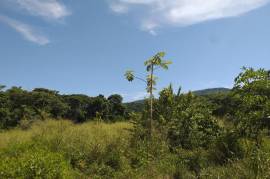 Development Land (Residential) for Sale in Seaforth