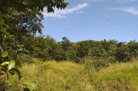 Development Land (Residential) for Sale in Seaforth