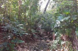 Development Land (Residential) for Sale in Seaforth