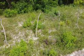 Development Land (Residential) for Sale in Falmouth