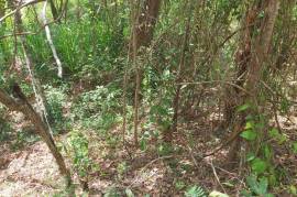 Development Land (Residential) for Sale in Falmouth