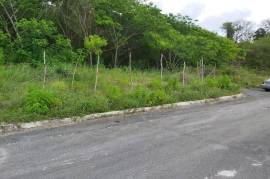 Development Land (Residential) for Sale in Falmouth