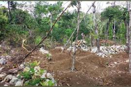 Development Land (Residential) for Sale in Ocho Rios