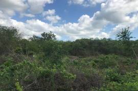 Development Land (Residential) for Sale in Spanish Town