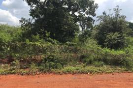 Development Land (Residential) for Sale in Spanish Town