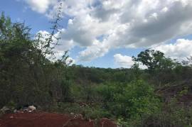 Development Land (Residential) for Sale in Spanish Town