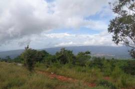 Development Land (Residential) for Sale in Spur Tree