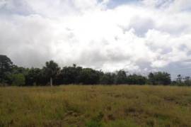 Development Land (Residential) for Sale in Spur Tree