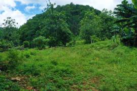 Development Land (Residential) for Sale in Stewart Town