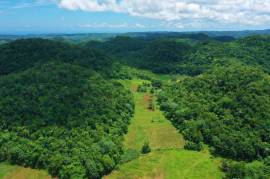 Development Land (Residential) for Sale in Stewart Town