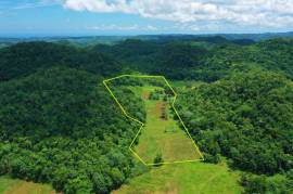 Development Land (Residential) for Sale in Stewart Town