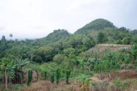 Development Land (Residential) for Sale in Bamboo