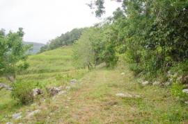 Development Land (Residential) for Sale in Bamboo