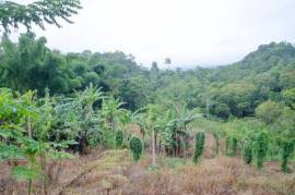 Development Land (Residential) for Sale in Bamboo