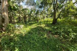 Development Land (Residential) for Sale in Ramble