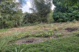 Development Land (Residential) for Sale in Ramble